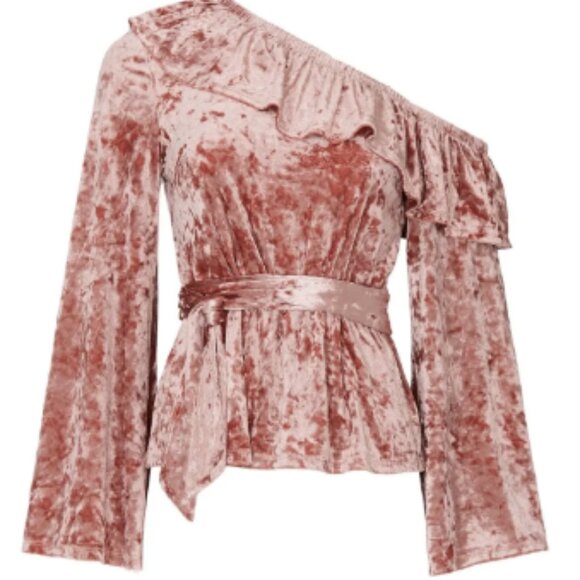Stylestalker Blush Velvet Clarissa Top (L) - Picture 1 of 6